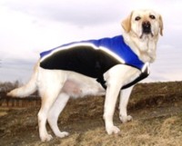 K-9 �I�[�o�[�R�[�g